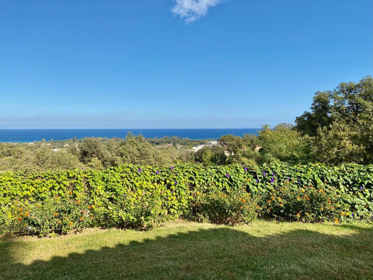 Domaine Punta Della Guardia Villa Panorama Maquis Et Mer, Plage A 1,5 Km Cervione Eksteriør billede