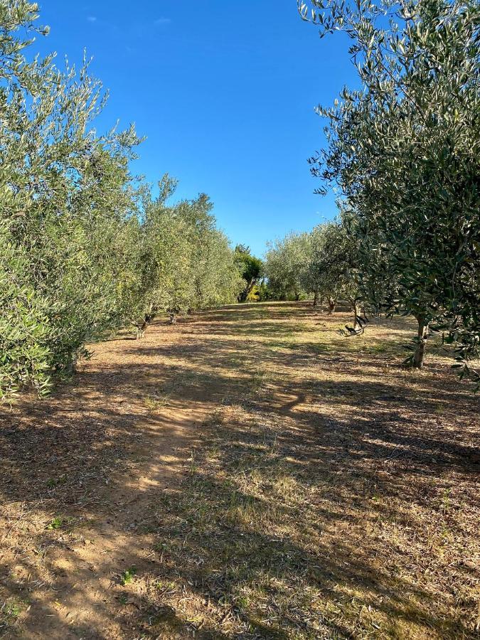 Domaine Punta Della Guardia Villa Panorama Maquis Et Mer, Plage A 1,5 Km Cervione Eksteriør billede