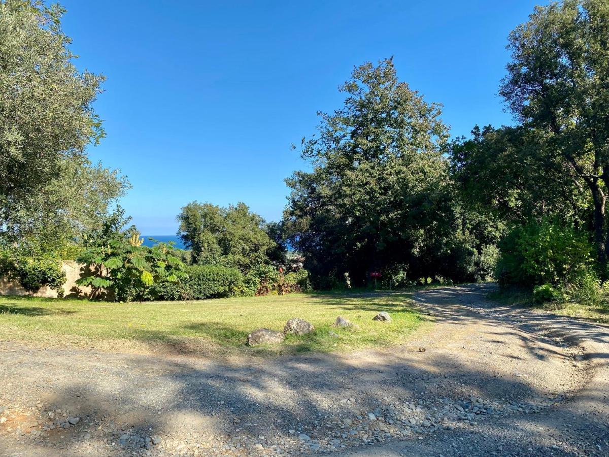 Domaine Punta Della Guardia Villa Panorama Maquis Et Mer, Plage A 1,5 Km Cervione Eksteriør billede