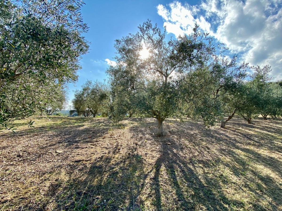 Domaine Punta Della Guardia Villa Panorama Maquis Et Mer, Plage A 1,5 Km Cervione Eksteriør billede